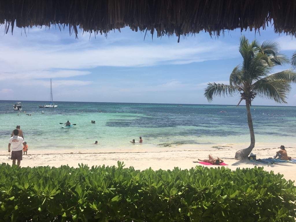 5 Reasons Why You Want to Visit Akumal Bay in 2021 | Loco Gringo